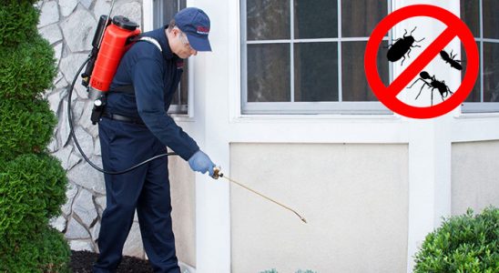 Nilüfer Akrep İlaçlama böcek ilaçlama ve haşere kontrolü — ilaclama-tr.com